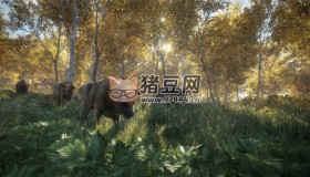 《獵人：野性的呼喚》v2777186中文版