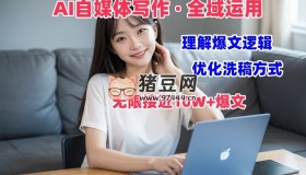 野草文化：AI自媒體寫作之價(jià)值變現(xiàn)