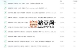 leo村長無損DJ高品質(zhì)串燒合集