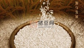 《尋古中國·稻谷記》紀(jì)錄片 (2023) 4K