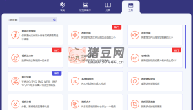 Aiseesoft Video Converter v10.8.60 視頻轉換大師
