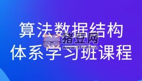 算法數(shù)據(jù)結(jié)構(gòu)體系學(xué)習(xí)班課程