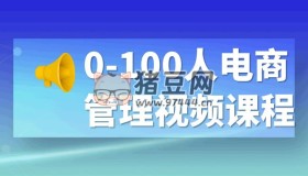 0-100人電商管理視頻課程