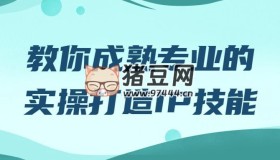 教你成熟專業(yè)的實操打造IP技能