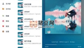 椒鹽音樂v10.5.0-alpha05 可懸浮歌詞的播放器