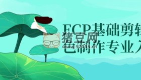 FCP基礎(chǔ)剪輯調(diào)色制作專業(yè)入門
