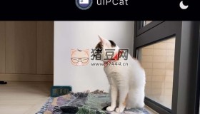 Uipcat：一個(gè)可以實(shí)時(shí)獲取攝像頭內(nèi)容的網(wǎng)站