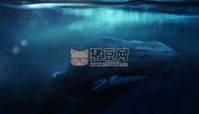 《探尋鯨之音》紀錄片 Fathom (2021) 4K
