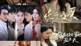 2024年8月8日付費(fèi)+精選短劇13部