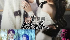 2024年8月13日付費(fèi)+精選短劇15部