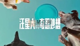 《汪星人的奇思妙想》紀(jì)錄片 Inside the Mind of a Dog (2024) 1080