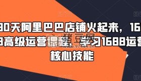 1688高級運(yùn)營課學(xué)習(xí)核心技能
