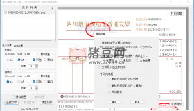 發(fā)票閃印v3.0.0 免費(fèi)電子PDF發(fā)票批量打印工具綠色版