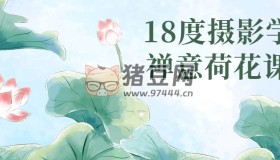 18度攝影學(xué)院禪意荷花課程