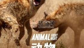 《動物搏擊會》紀(jì)錄片 第一季 (2013) 1080