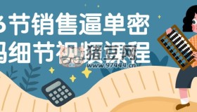 16節(jié)銷售逼單密碼細(xì)節(jié)視頻課程