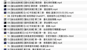 花爺副業(yè)起跑營(yíng)第4期