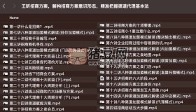 王昕招商方案解構(gòu)招商方案意識形態(tài)
