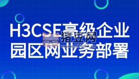 H3CSE高級企業(yè)園區(qū)網(wǎng)業(yè)務(wù)部署