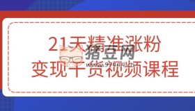 21天精準漲粉變現(xiàn)干貨視頻課程