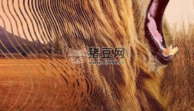 《大衛(wèi)·艾登堡：大自然的聲音》紀錄片 (2024) 4K