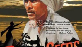 《人間苦種》紀(jì)錄片 Bitter Seeds (2011) 1080