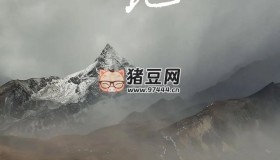 《極地》紀(jì)錄片 (2017)