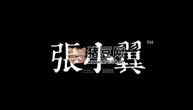 張小翼攝影教程合集