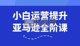 小白運營提升亞馬遜全階課