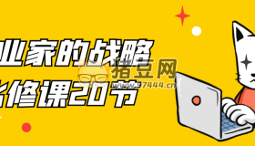 企業(yè)家的戰(zhàn)略必修課20節(jié)
