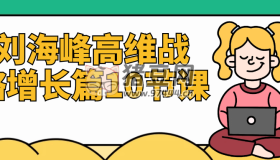 劉海峰高維戰(zhàn)略增長篇10節(jié)課