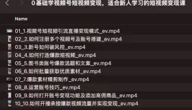 0基礎學視頻號短視頻變現(xiàn)