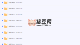 名家中醫(yī)全套資料大全