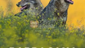 《與狼共存》紀(jì)錄片 Barbacana, la huella del lobo (2018)