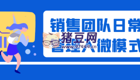 銷售團(tuán)隊日常管理入微模式