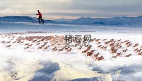《阿爾泰山》紀(jì)錄片 (2023)