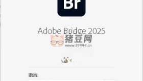 Adobe Bridge 2025 v15.0.0.397