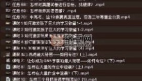 985逆襲學(xué)習(xí)方法+提分經(jīng)驗(yàn)
