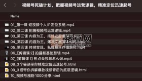 視頻號死磕計劃：把握視頻號運營邏輯，精準定位迅速起號