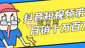 抖音短視頻帶貨月銷十萬百萬