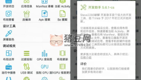 Dev Tools 開發(fā)助手v8.3.0專業(yè)版 反編譯等多功能