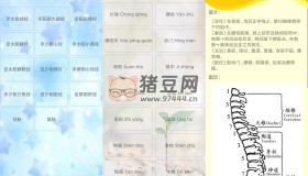 人體穴位圖解v3.1.4可離線版