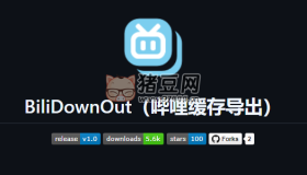 BiliDownOut：嗶哩嗶哩緩存導(dǎo)出開源工具