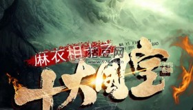 《麻衣相士之十大國(guó)寶》有聲小說(shuō) 作者：御風(fēng)樓主人 主播：武術(shù) 359集完結(jié)