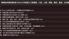 跨境多多海外版多多Temu12天快速入門實(shí)操課
