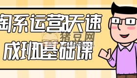 淘系運營21天速成班0基礎課