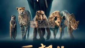 《王朝》紀(jì)錄片 第二季 Dynasties Season 2 (2022)