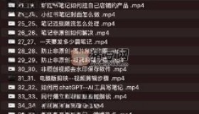 小紅書店鋪運(yùn)營從小白到大神2.0