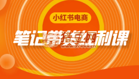 小紅書電商筆記帶貨紅利課