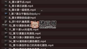 摩吉影像ME老師達(dá)芬奇調(diào)色課程